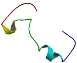 Proteasome 26S Subunit, Non ATPase 3 (PSMD3)