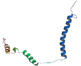 Proteasome 26S Subunit, Non ATPase 4 (PSMD4)