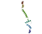 Proteasome 26S Subunit, Non ATPase 6 (PSMD6)