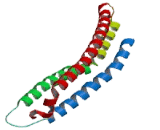 Proteasome Activator Subunit 1 (PSME1)