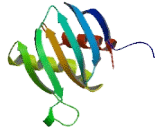 Proteasome Assembly Chaperone 3 (PSMG3)