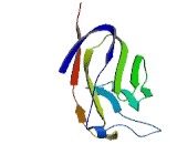 Proteasome Assembly Chaperone 4 (PSMG4)