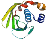 Proteasome Inhibitor Subunit 1 (PSMF1)