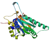 Proteasome Subunit Alpha Type 1 (PSMa1)