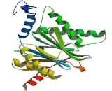 Proteasome Subunit Alpha Type 6 (PSMa6)