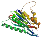 Proteasome Subunit Beta Type 1 (PSMb1)