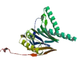 Proteasome Subunit Beta Type 4 (PSMb4)