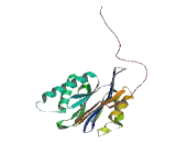 Proteasome Subunit Beta Type 7 (PSMb7)