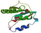 Protein Arginine Methyltransferase 9 (PRMT9)