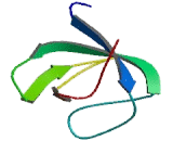 Protein Arginine Methyltransferase 2 (PRMT2)