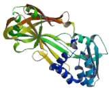 Protein Arginine Methyltransferase 3 (PRMT3)