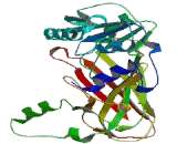 Protein Arginine Methyltransferase 5 (PRMT5)