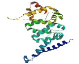 Protein Associated With Topoisomerase II Homolog 1 (PATL1)