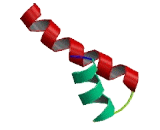 Protein Associated With Topoisomerase II Homolog 2 (PATL2)