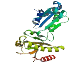 Endoplasmic Reticulum Resident Protein 57 (ERp57)