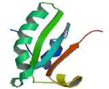 Protein Disulfide Isomerase A5 (PDIA5)