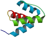 Protein Inhibitor Of Activated STAT 1 (PIAS1)