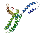 Protein Interacting With Cyclin A1 (PROCA1)