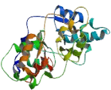 Protein Kinase, AMP Activated Gamma 3 (PRKAg3)