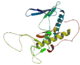 Protein Kinase, DNA Activated, Catalytic Polypeptide (PRKDC)