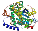 Protein Kinase, cAMP Dependent Catalytic Alpha (PRKACa)