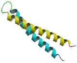 Protein Kinase N2 (PKN2)