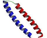 Protein Kinase N3 (PKN3)