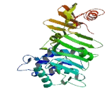 Protein L-Isoaspartate-O-Methyltransferase Domain Containing Protein 1 (PCMTD1)