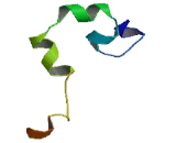 Protein O-Glucosyltransferase 1 (POGLUT1)