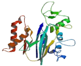 Protein Phosphatase, Mg2+/Mn2+ Dependent 1D (PPM1D)