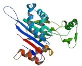 Protein Phosphatase, Mg2+/Mn2+ Dependent 1E (PPM1E)