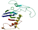 Protein Phosphatase, Mg2+/Mn2+ Dependent 1H (PPM1H)