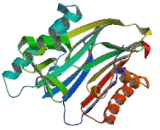 Protein Phosphatase, Mg2+/Mn2+ Dependent 1K (PPM1K)