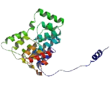 Protein Phosphatase 1, Regulatory Subunit 12A (PPP1R12A)