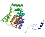 Protein Phosphatase 1, Regulatory Subunit 12B (PPP1R12B)