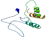 Protein Phosphatase 1, Regulatory Subunit 14C (PPP1R14C)