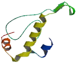 Protein Phosphatase 1, Regulatory Subunit 15B (PPP1R15B)