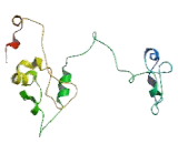 Protein Phosphatase 1, Regulatory Subunit 1B (PPP1R1B)