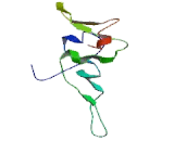 Protein Phosphatase 1, Regulatory Subunit 1C (PPP1R1C)