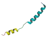 Protein Phosphatase 1, Regulatory Subunit 2 (PPP1R2)