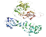 Protein Phosphatase 1, Regulatory Subunit 26 (PPP1R26)