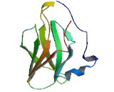 Protein Phosphatase 1, Regulatory Subunit 3 (PPP1R3)