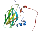 Protein Phosphatase 1, Regulatory Subunit 3B (PPP1R3B)