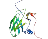 Protein Phosphatase 1, Regulatory Subunit 3C (PPP1R3C)