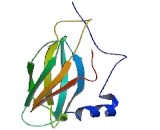 Protein Phosphatase 1, Regulatory Subunit 3D (PPP1R3D)