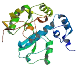 Protein Phosphatase 1, Regulatory Subunit 3E (PPP1R3E)