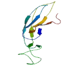 Protein Phosphatase 1, Regulatory Subunit 3F (PPP1R3F)