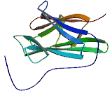 Protein Phosphatase 1, Regulatory Subunit 8 (PPP1R8)