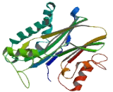 Protein Phosphatase 1F (PPM1F)