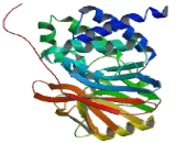 Protein Phosphatase 2, Catalytic Subunit Alpha Isoform (PPP2Ca)